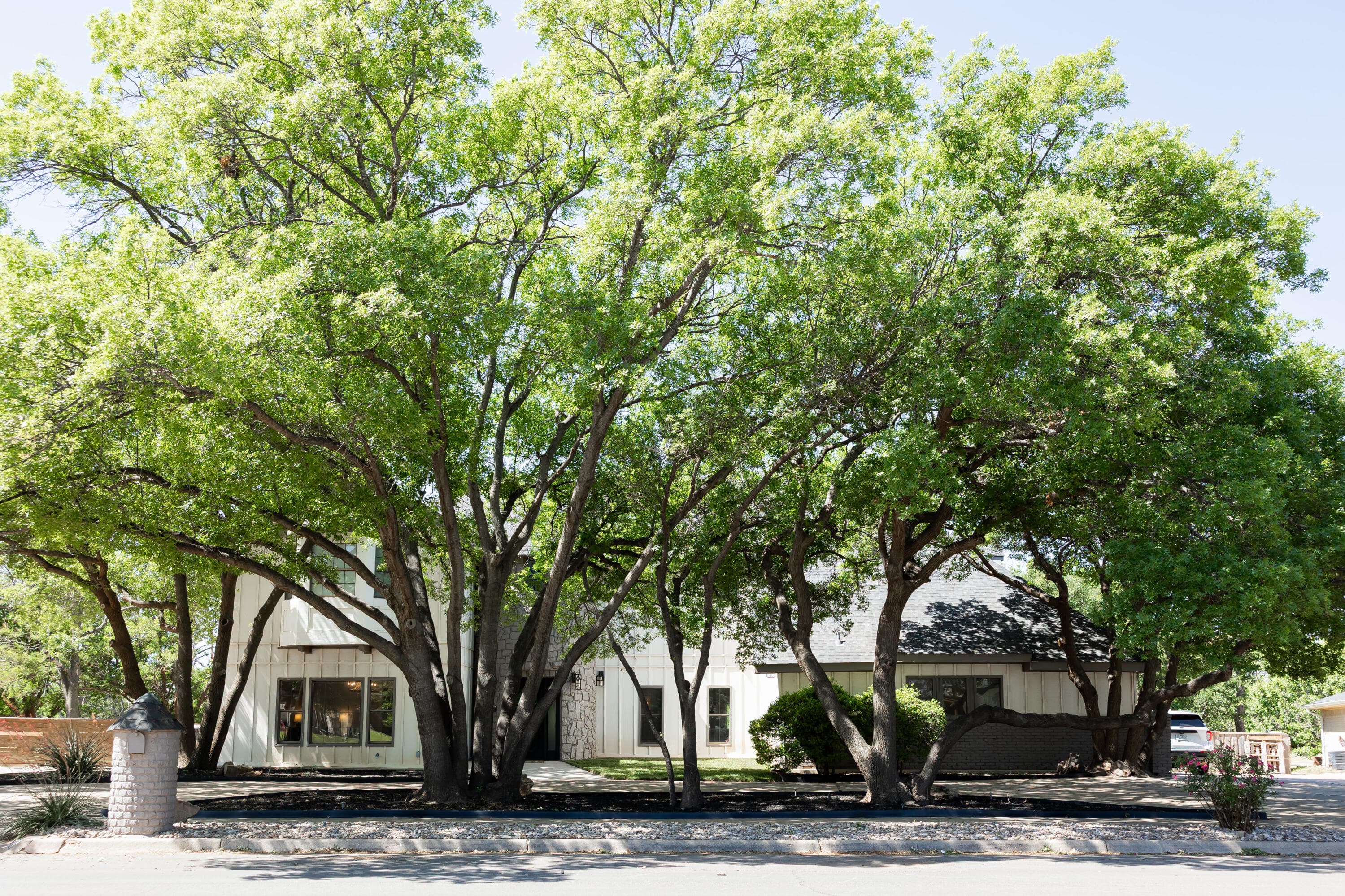 8432 Wayne Avenue - Image 1